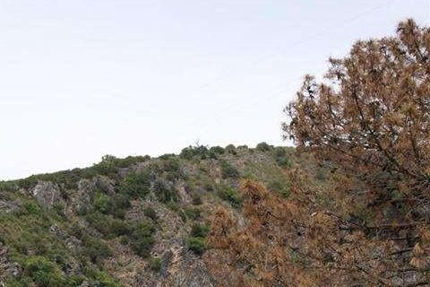 Helårsgrund i Benahavis, Malaga, Benahavis - € 1.500.000 | Ref: EF-B37911SR - foto 8