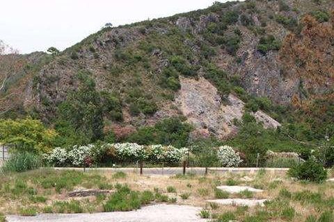 Helårsgrund i Benahavis, Malaga, Benahavis - € 1.500.000 | Ref: EF-B37911SR - foto 18