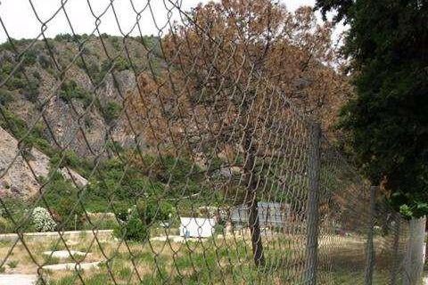 Helårsgrund i Benahavis, Malaga, Benahavis - € 1.500.000 | Ref: EF-B37911SR - foto 28