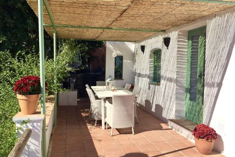 Villa in Competa, Malaga - photo 3