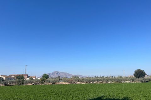 Byhus i Catral, Alicante, Catral - € 149.500 | Ref: SE-35577 - foto 43