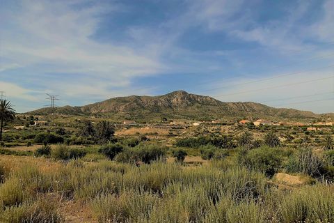Landejendom i Barinas, Murcia, Barinas - € 75.000 | Ref: ASP020 - foto 2