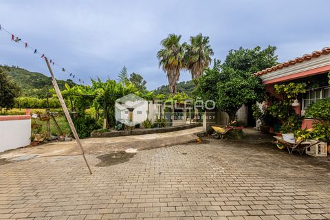 Villa a Rio Maior, Santarem, Rio Maior - € 290.000 | Ref: FR1133 - foto 3