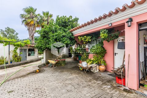 Villa a Rio Maior, Santarem, Rio Maior - € 290.000 | Ref: FR1133 - foto 4