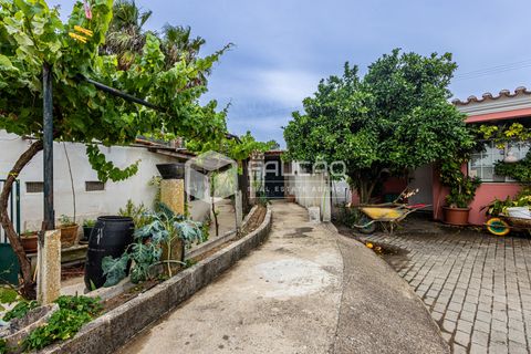 Villa a Rio Maior, Santarem, Rio Maior - € 290.000 | Ref: FR1133 - foto 9