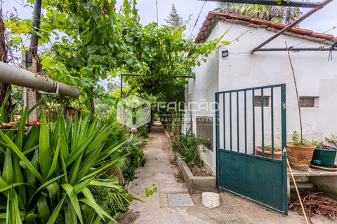 Villa a Rio Maior, Santarem, Rio Maior - € 290.000 | Ref: FR1133 - foto 10