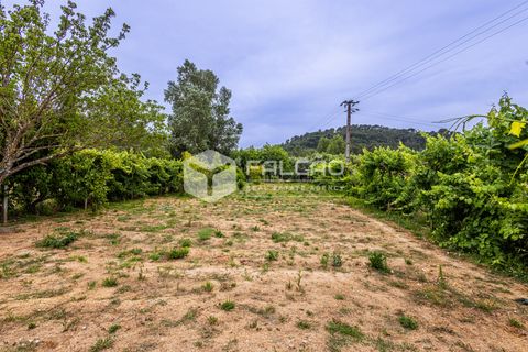 Villa a Rio Maior, Santarem, Rio Maior - € 290.000 | Ref: FR1133 - foto 11