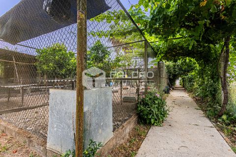 Villa a Rio Maior, Santarem, Rio Maior - € 290.000 | Ref: FR1133 - foto 12