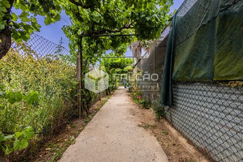 Villa a Rio Maior, Santarem, Rio Maior - € 290.000 | Ref: FR1133 - foto 13