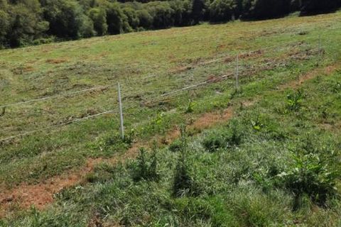 Grond in Coetlogon, Cotes-d'Armor, Coetlogon - € 34.000 | Ref: 61287 - foto 3