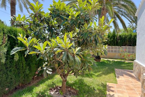 Haus in Els Poblets, Alicante, Els Poblets - € 490.000 | Ref: H657 - Foto 44