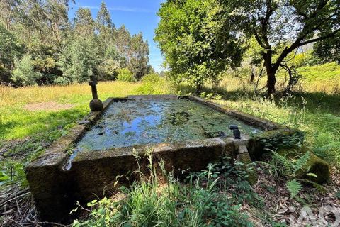 Byhus i Ponte de Lima, Viana do Castelo, Ponte de Lima - € 319.500 | Ref: 957881 - foto 12
