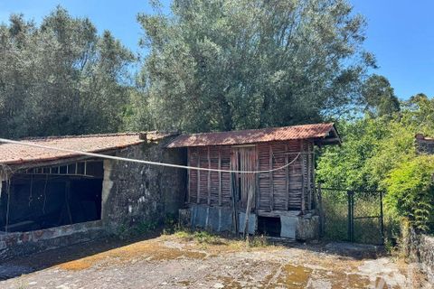 Byhus i Ponte de Lima, Viana do Castelo, Ponte de Lima - € 319.500 | Ref: 957881 - foto 15