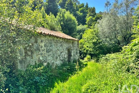 Byhus i Ponte de Lima, Viana do Castelo, Ponte de Lima - € 319.500 | Ref: 957881 - foto 16