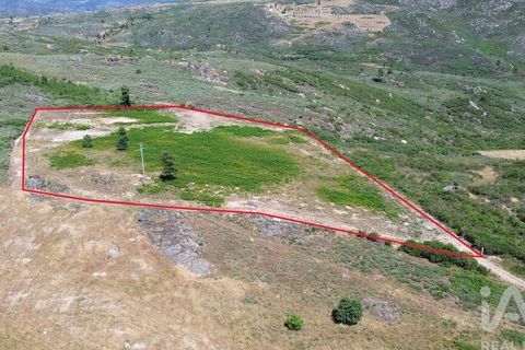 Terra a Alijo, Vila Real, Alijo - € 85.000 | Ref: 945044 - foto 2