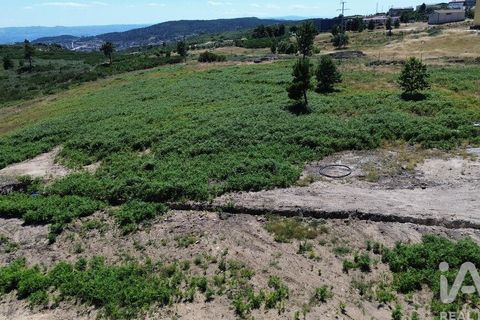 Terra a Alijo, Vila Real, Alijo - € 85.000 | Ref: 945044 - foto 8