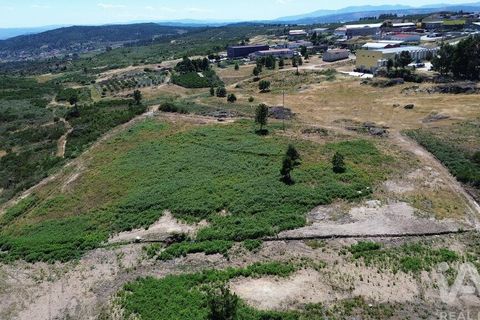 Terra a Alijo, Vila Real, Alijo - € 85.000 | Ref: 945044 - foto 10