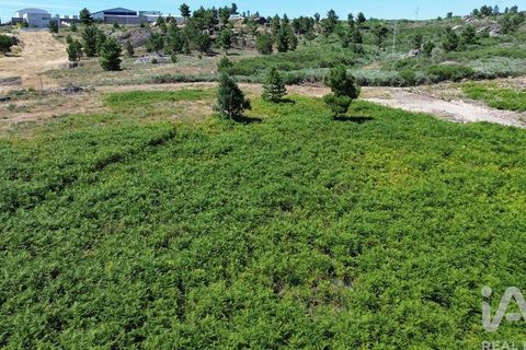Terra a Alijo, Vila Real, Alijo - € 85.000 | Ref: 945044 - foto 11