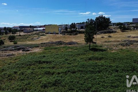 Terra a Alijo, Vila Real, Alijo - € 85.000 | Ref: 945044 - foto 12