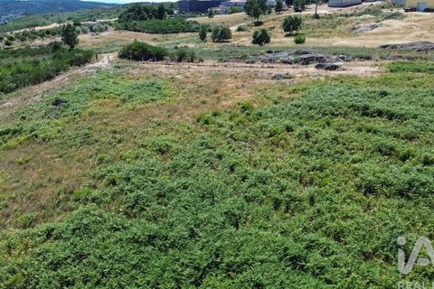 Terra a Alijo, Vila Real, Alijo - € 85.000 | Ref: 945044 - foto 13