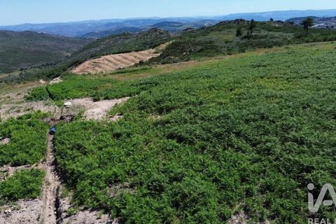 Terra a Alijo, Vila Real, Alijo - € 85.000 | Ref: 945044 - foto 14