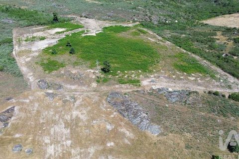 Terra a Alijo, Vila Real, Alijo - € 85.000 | Ref: 945044 - foto 15