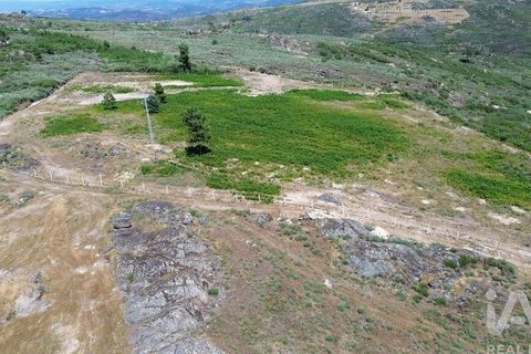 Terra a Alijo, Vila Real, Alijo - € 85.000 | Ref: 945044 - foto 16