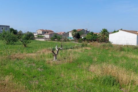 Villa in Deltebre, Tarragona, Deltebre - € 99.000 | Ref: 4386FZ/6931 - foto 2