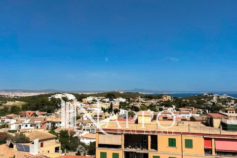 Rækkehus i Palma De Mallorca, Mallorca, Palma De Mallorca - € 1.200.000 | Ref: 5152 - foto 35