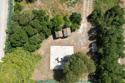 Helårsgrund i San Fulgencio, Alicante - foto 1