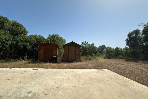 Helårsgrund i San Fulgencio, Alicante - foto 2