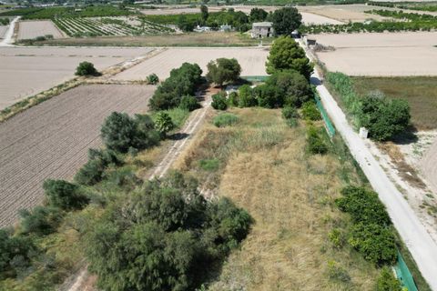 Helårsgrund i San Fulgencio, Alicante - foto 4