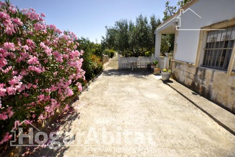 Villa i Godelleta, Valencia, Godelleta - € 225.000 | Ref: 00P-PCI225.FV-A/3716 - foto 19