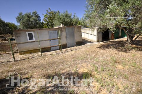 Villa i Godelleta, Valencia, Godelleta - € 225.000 | Ref: 00P-PCI225.FV-A/3716 - foto 25