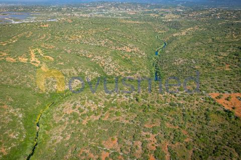 Helårsgrund i Albufeira, Faro, Albufeira - € 17.500 | Ref: TE-21 (PR-096) - foto 1