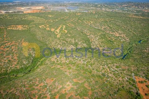 Helårsgrund i Albufeira, Faro, Albufeira - € 17.500 | Ref: TE-21 (PR-096) - foto 2