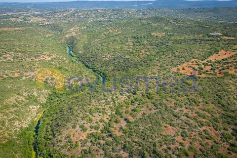Helårsgrund i Albufeira, Faro, Albufeira - € 17.500 | Ref: TE-21 (PR-096) - foto 3