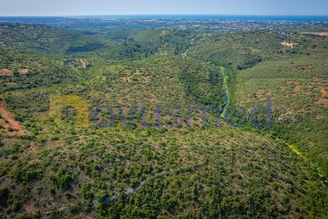 Helårsgrund i Albufeira, Faro, Albufeira - € 17.500 | Ref: TE-21 (PR-096) - foto 9