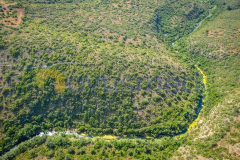 Helårsgrund i Albufeira, Faro, Albufeira - € 17.500 | Ref: TE-21 (PR-096) - foto 11