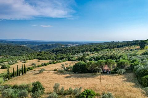 Villa i Riparbella, Pisa, Riparbella - € 2.150.000 | Ref: CS474 - foto 18