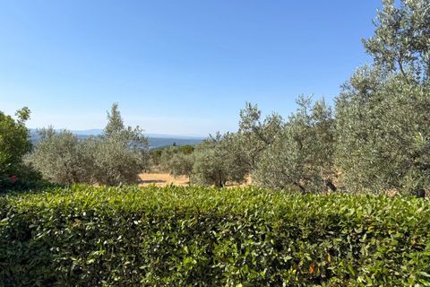 Villa i Riparbella, Pisa, Riparbella - € 2.150.000 | Ref: CS474 - foto 19