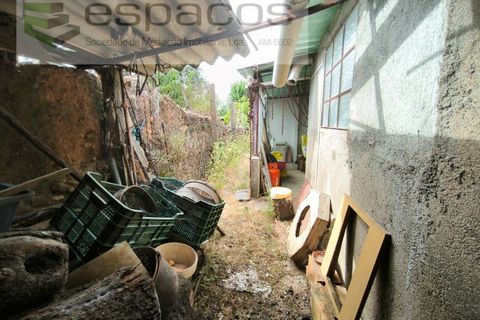 Villa en Castelo Branco, Castelo Branco, Castelo Branco - € 65.000 | Ref: 5584/EG - photo 13