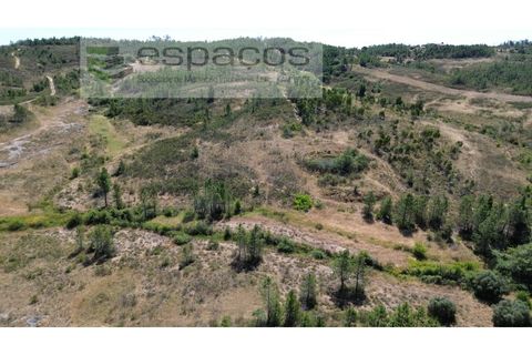 Terreno en Castelo Branco, Castelo Branco, Castelo Branco - € 44.000 | Ref: 5582/EG - photo 1