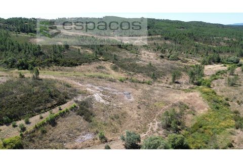 Terreno en Castelo Branco, Castelo Branco, Castelo Branco - € 44.000 | Ref: 5582/EG - photo 2
