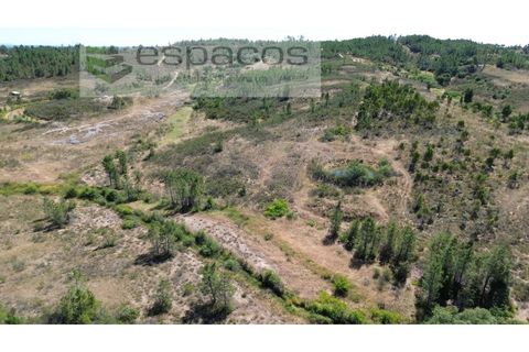 Terreno en Castelo Branco, Castelo Branco, Castelo Branco - € 44.000 | Ref: 5582/EG - photo 3