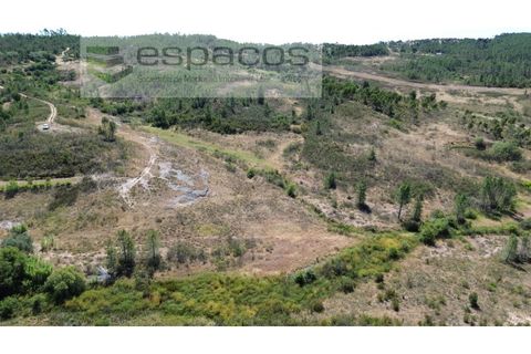 Terreno en Castelo Branco, Castelo Branco, Castelo Branco - € 44.000 | Ref: 5582/EG - photo 4