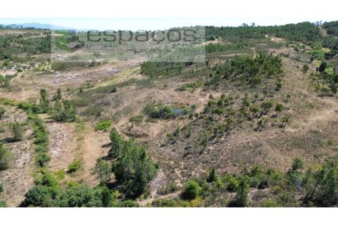 Terreno en Castelo Branco, Castelo Branco, Castelo Branco - € 44.000 | Ref: 5582/EG - photo 5