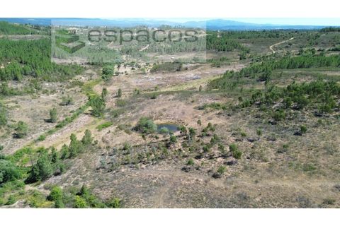 Terreno en Castelo Branco, Castelo Branco, Castelo Branco - € 44.000 | Ref: 5582/EG - photo 6