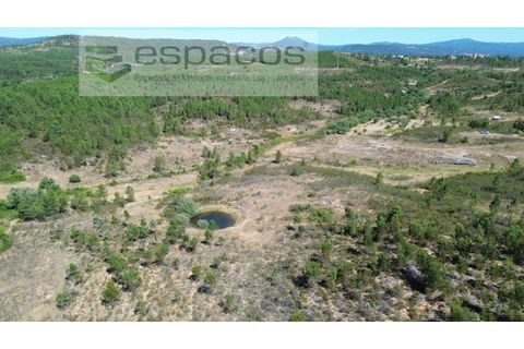 Terreno en Castelo Branco, Castelo Branco, Castelo Branco - € 44.000 | Ref: 5582/EG - photo 7