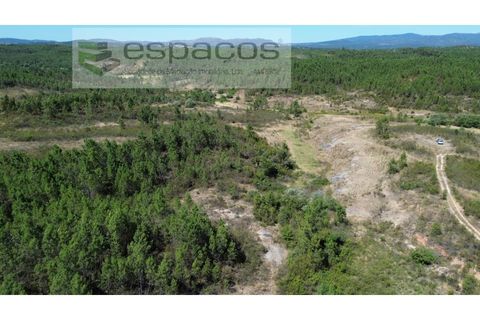 Terreno en Castelo Branco, Castelo Branco, Castelo Branco - € 44.000 | Ref: 5582/EG - photo 8